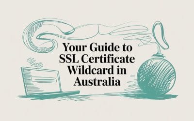 Your Guide to ssl certificate wildcard in Australia ssl-certificate-wildcard-guide-graphic
