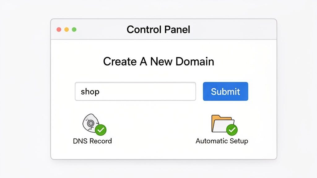 What is a Subdomain: A Simple Guide to Organizing Your Site 5 A control panel user interface for creating a new domain, showing 'shop' in the input field, a submit button, and two checked setup options.