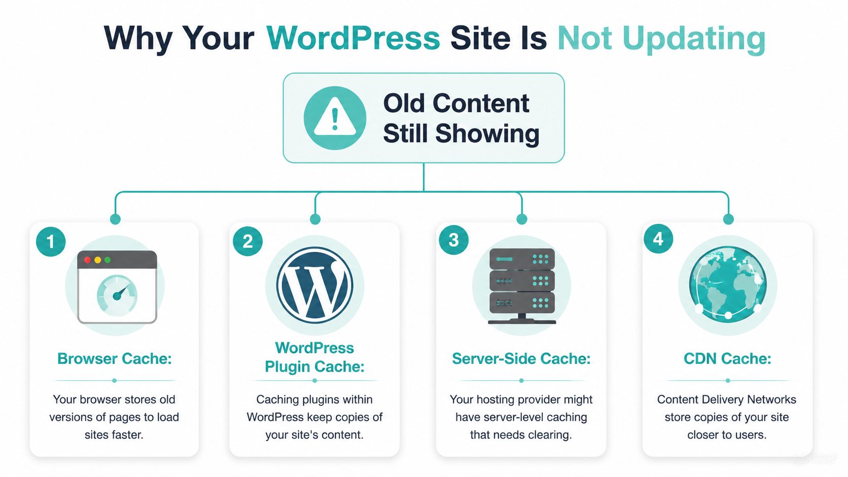 A diagram illustrating the four common reasons why a wordpress site may not display updated content.