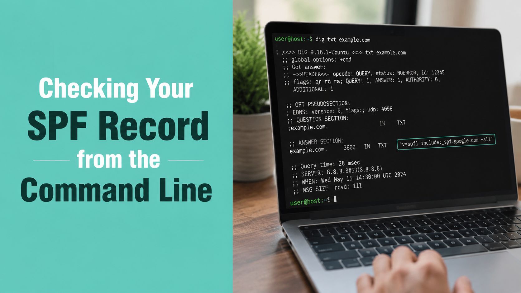 SPF Record Check: Step-by-Step Guide for Aussies 11 Screenshot from https://example. Com/images/dig-spf-record-check-terminal. Png