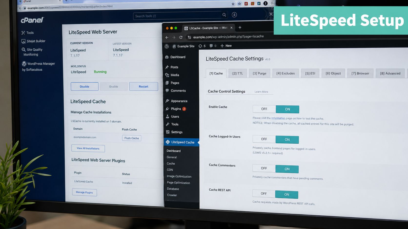 Screenshot from https://example. Com/litespeed-cache-plugin-general-settings. Png