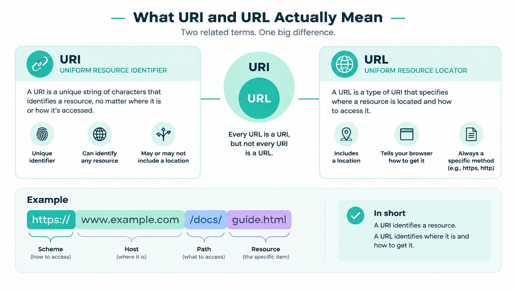URL vs URI Explained for Web Developers 2 An infographic explaining the technical differences between a uri and a url with examples and definitions.