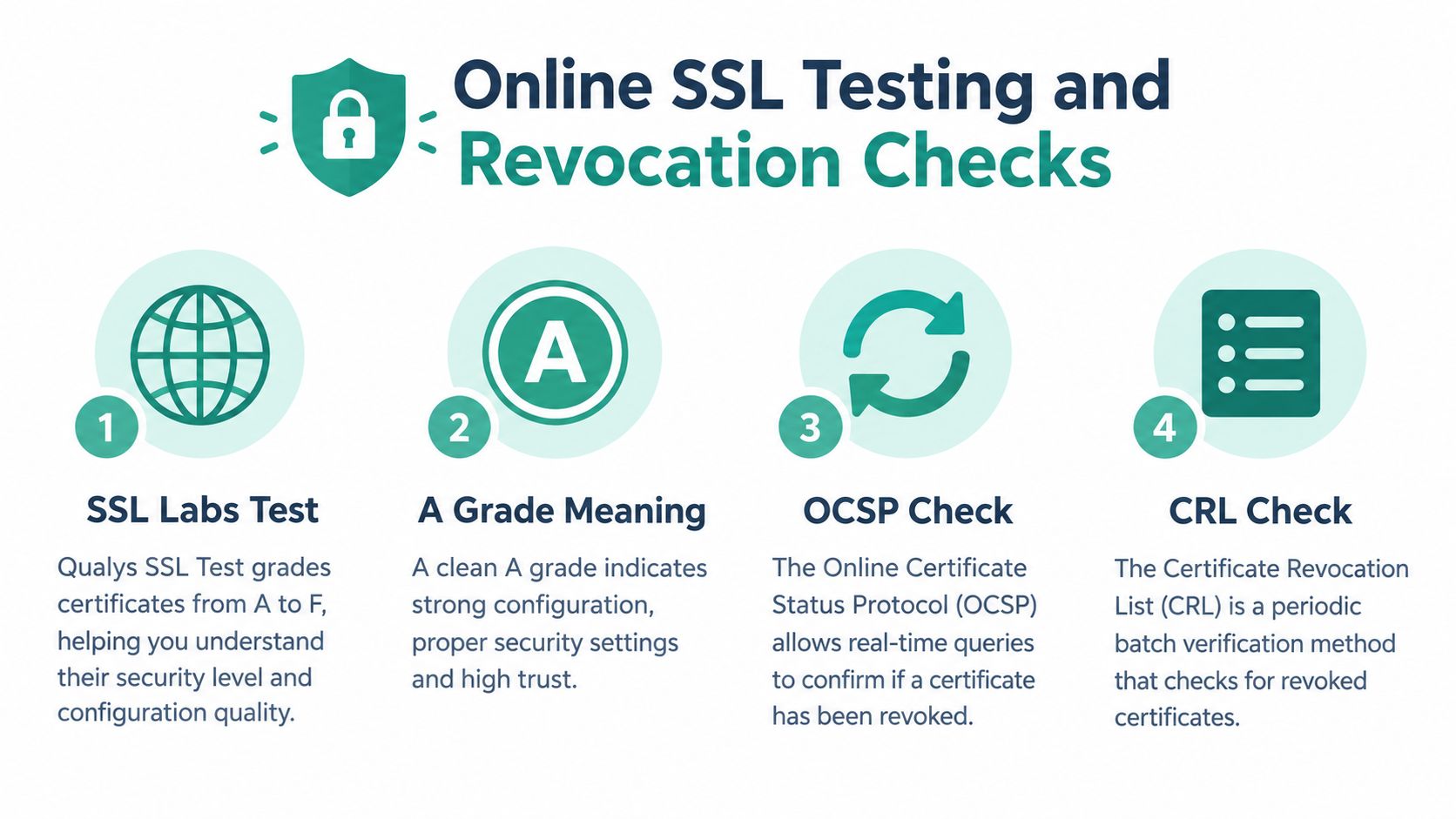 An infographic showing four steps for online ssl certificate testing and revocation checks for website security.